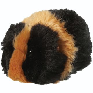 Obrázek z Morče plyš hnědočerné 13cm 